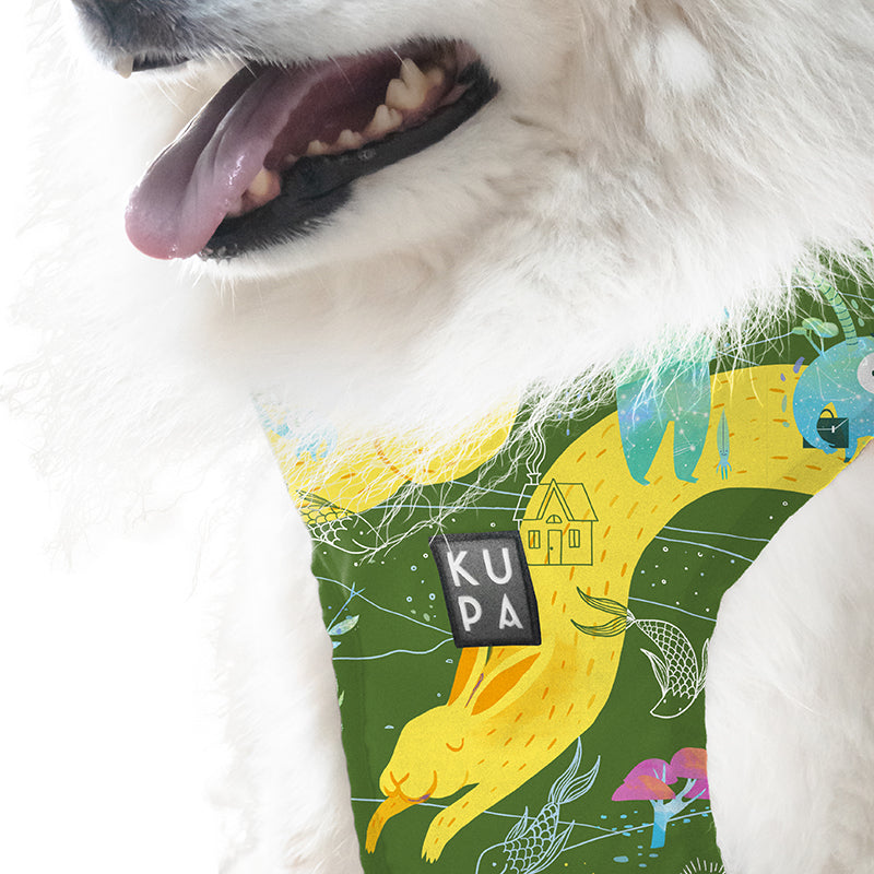 Pechera para mascotas Chía Viajerxs Astrales