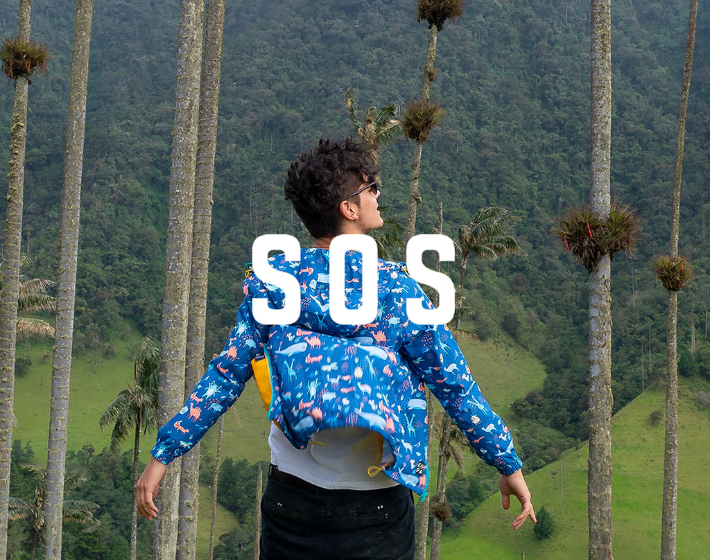 POR ANDREA CASTRO NARANJO