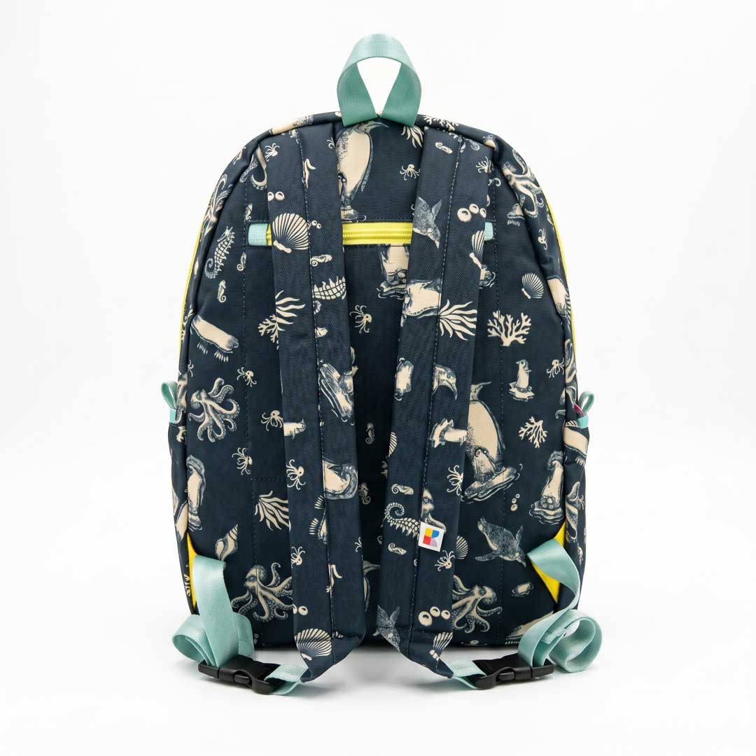 Morral 15