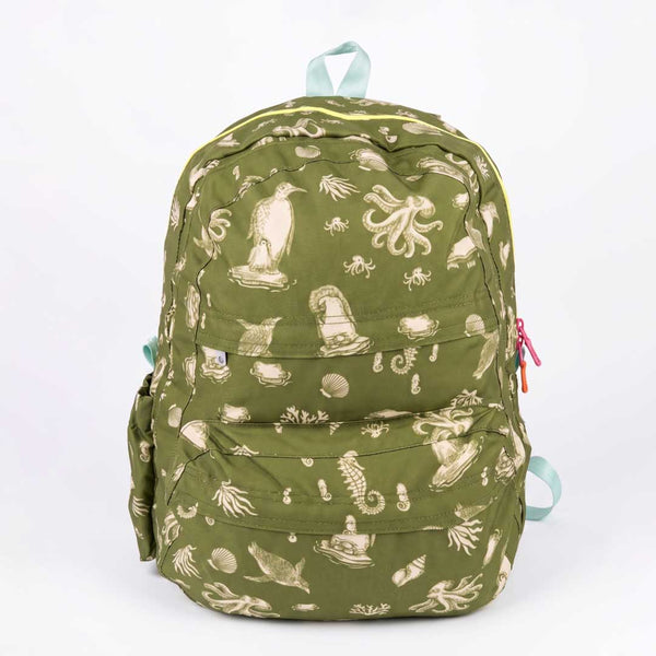 Morral 15