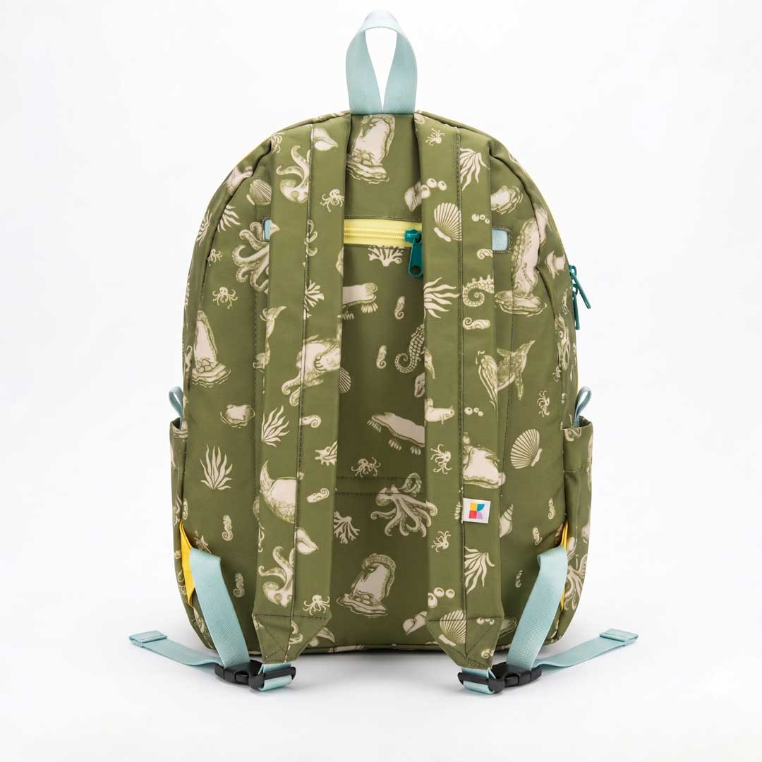 Morral 15