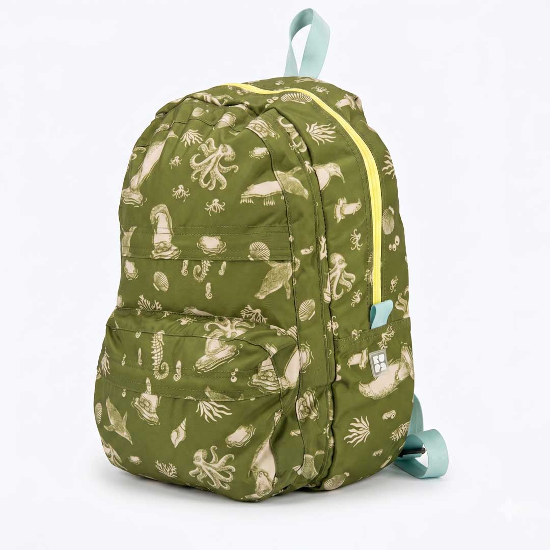 Morral 15