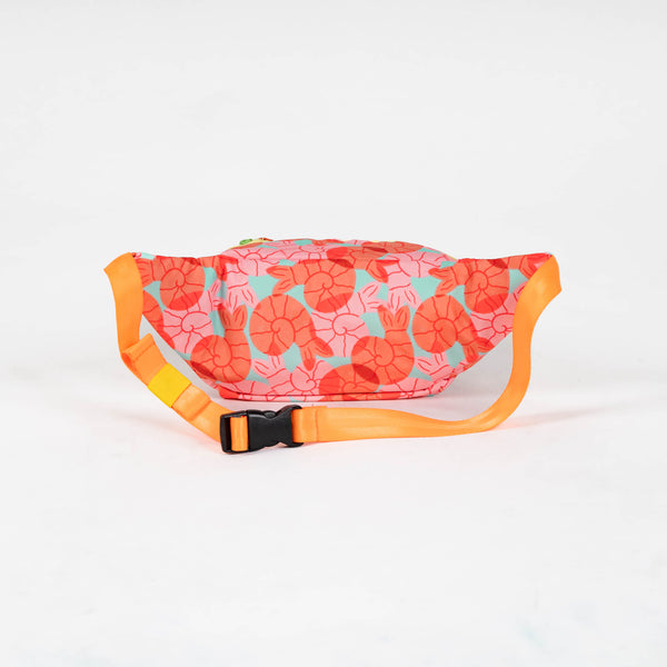 Canguro Necoclí Paseíto