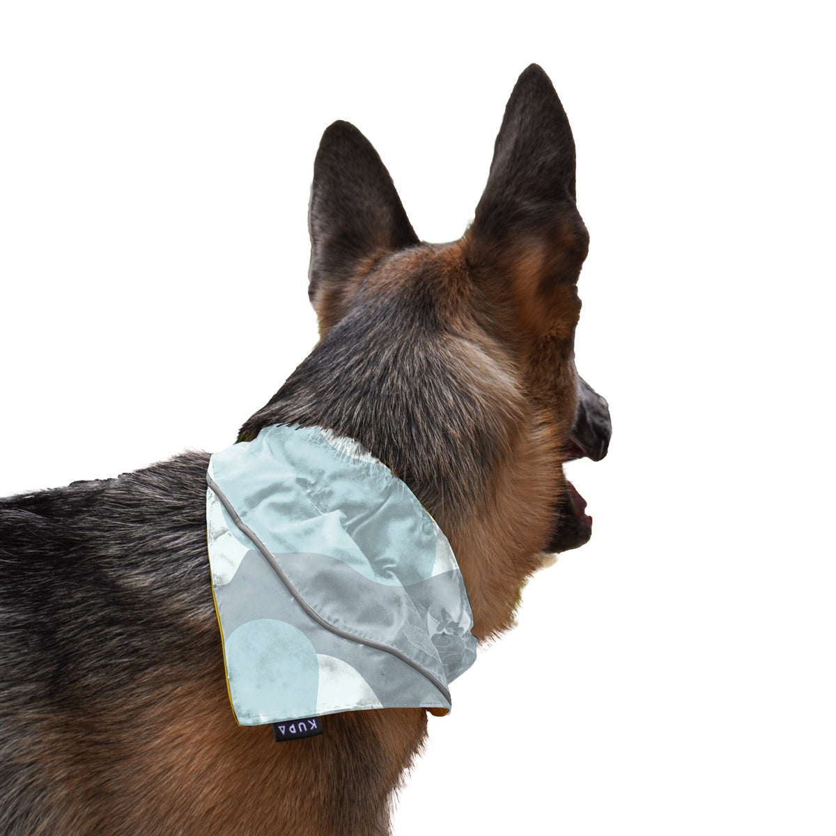 Pañoleta Timbiquí Manchas