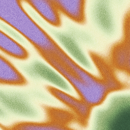 Chaqueta Silvania De Noche