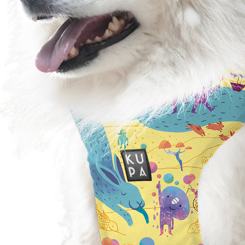Chia Viajerxs Astrales pet bib