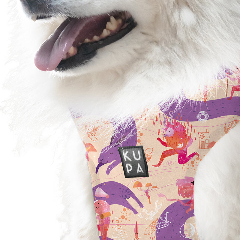 Chia Viajerxs Astrales pet bib
