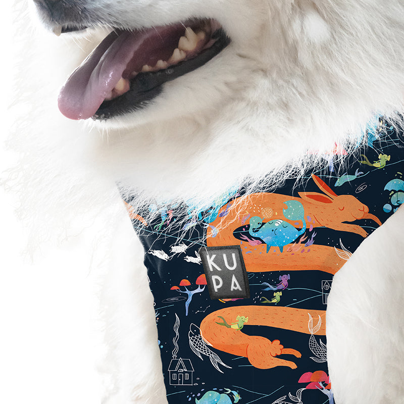 Chia Viajerxs Astrales pet bib