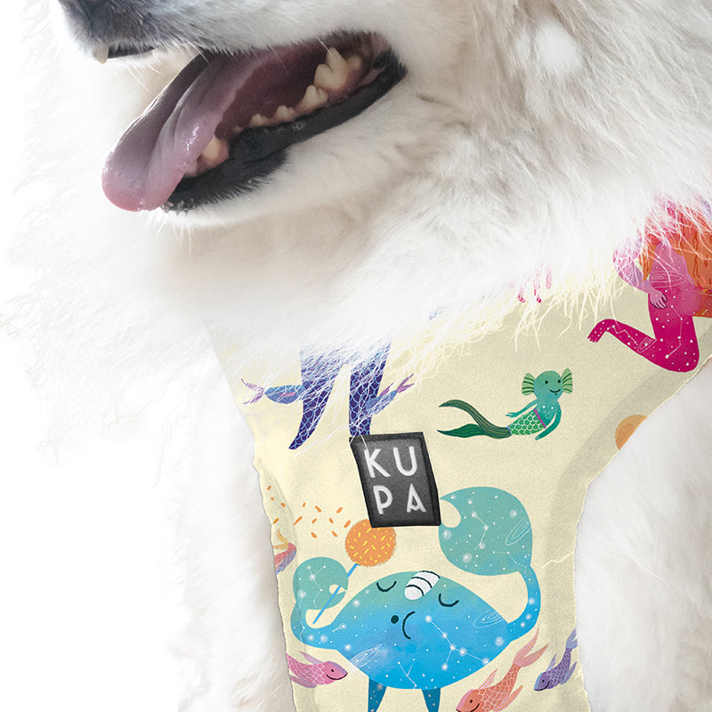 Chia Viajerxs Astrales pet bib