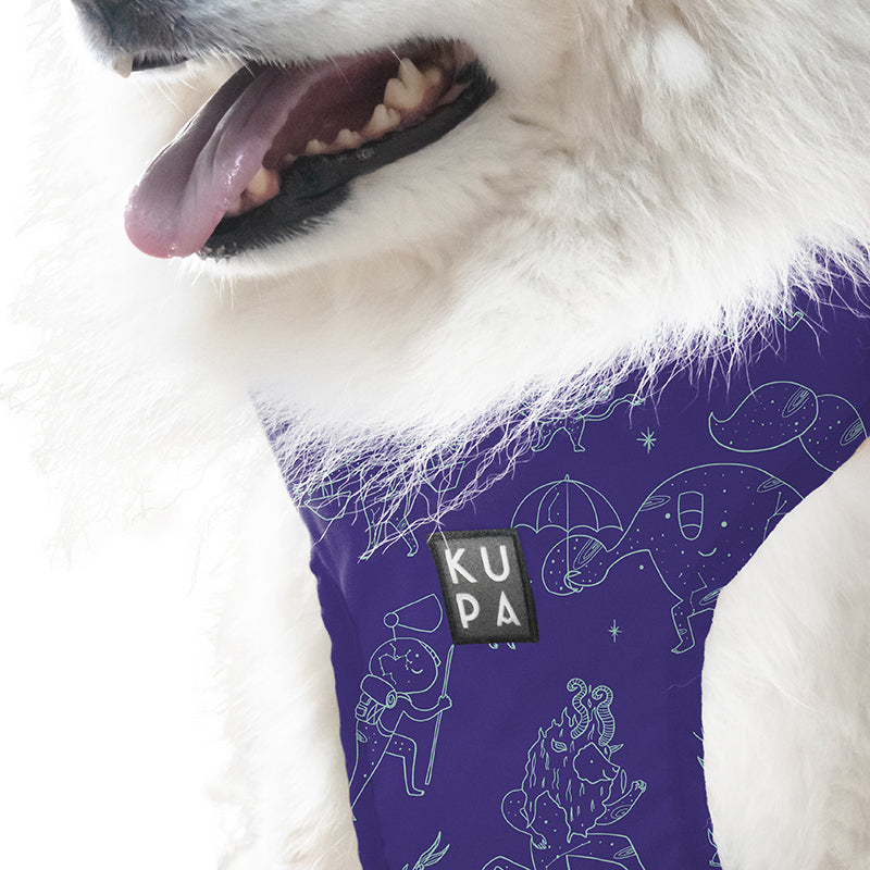 Chia Viajerxs Astrales pet bib