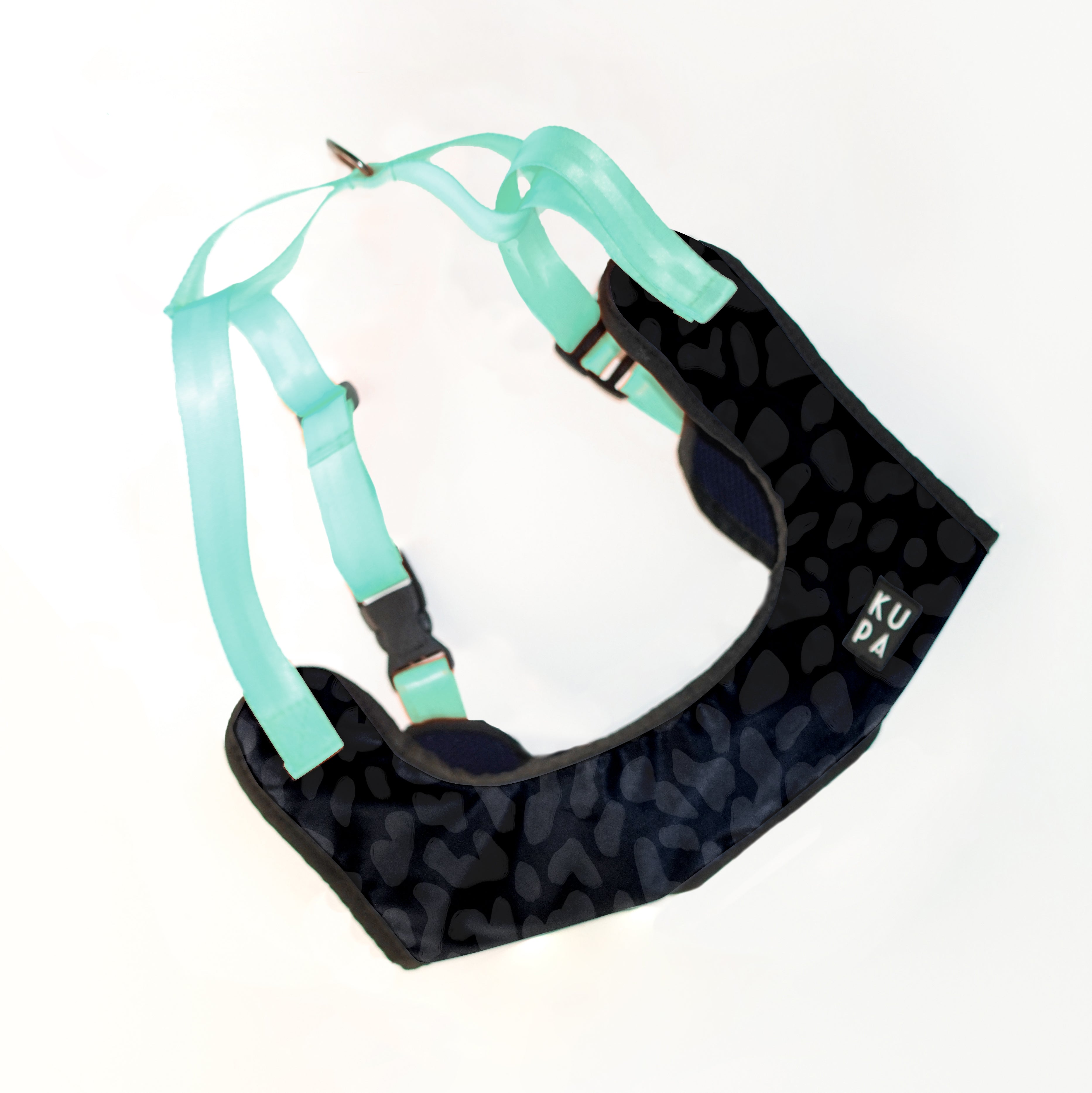 Chia Viajerxs Astrales pet bib