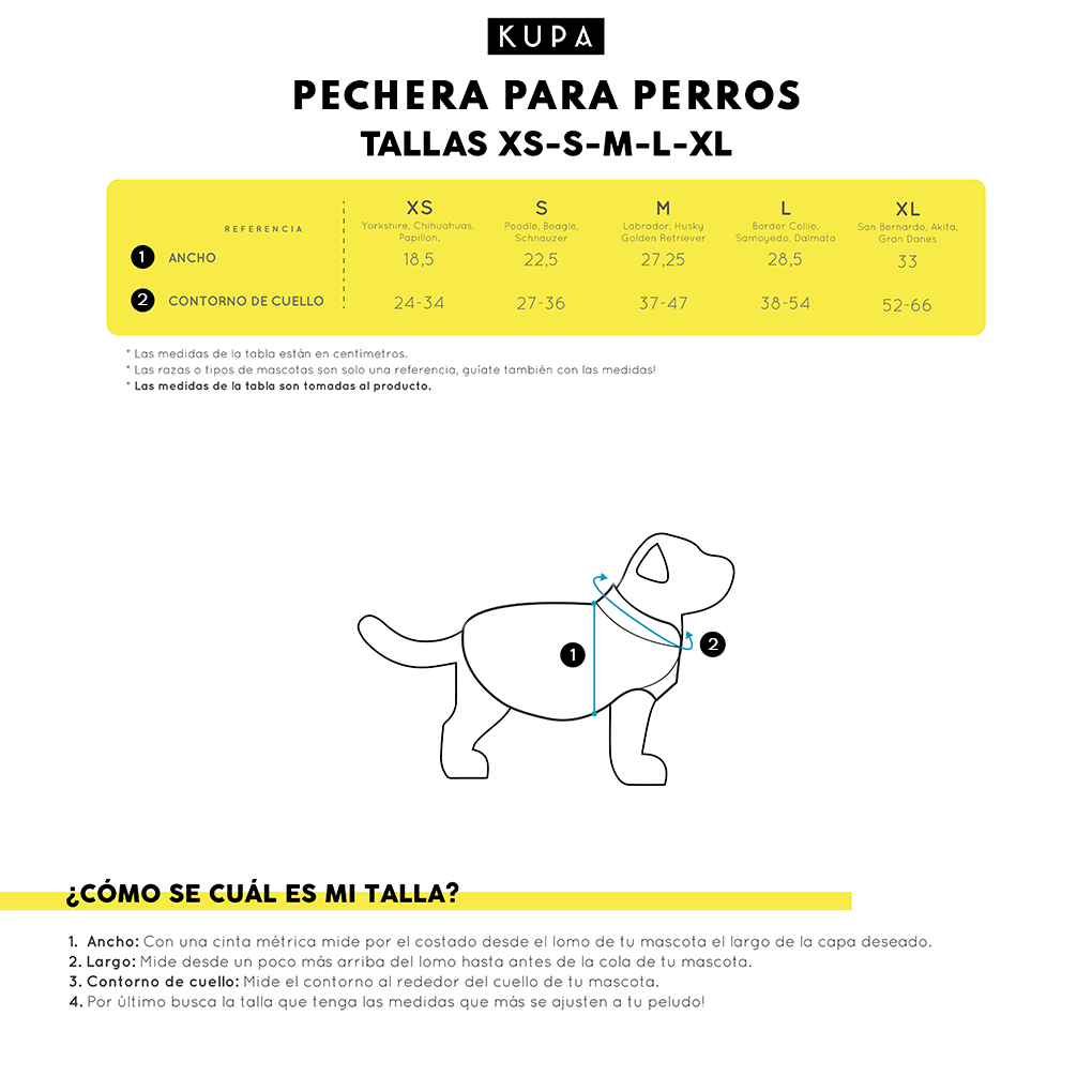 Chia Viajerxs Astrales pet bib